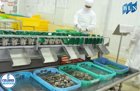 The Future of the Maritime Economy: Transformation and Innovation in the Fisheries Industry